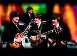 All You Need Are The Beatles