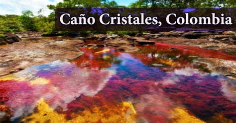 Caño Cristales The River Of Five Colors Colombia Assignment Point