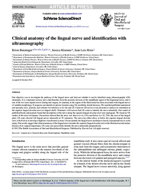 Pdf Clinical Anatomy Of The Lingual Nerve And Identification With