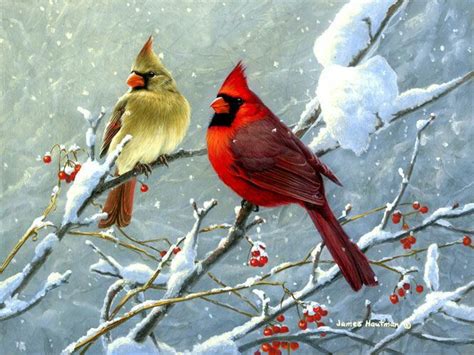 Mr And Mrs Cardinal In The Snow Bird Wildlife Art Cardinal Painting Painting