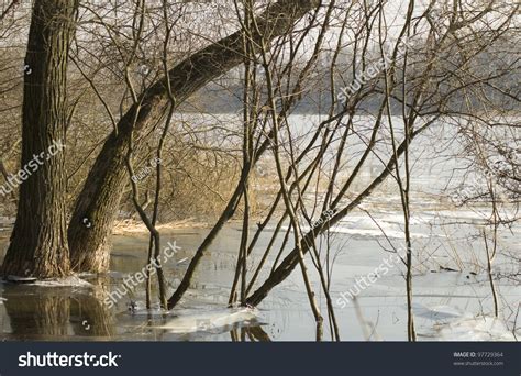 Early Spring Lake And Thaw Stock Photo 97729364 Shutterstock