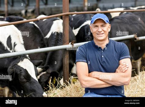 Man Farmer On Farm With Dairy Cow Stock Photo Alamy