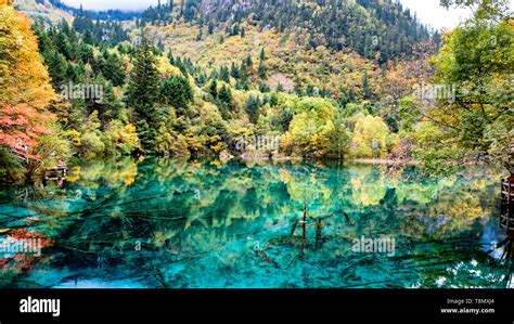 Jiuzhaigou National Forest Hi Res Stock Photography And Images Alamy