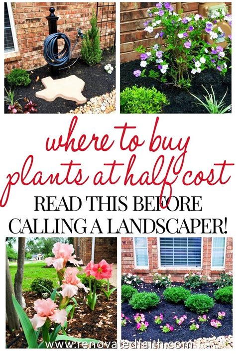 16 Low Maintenance Garden Ideas On A Budget Garden Design