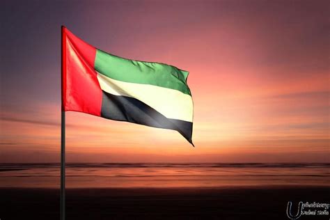 Uae Flags Dubai Abu Dhabi And Uae Buy Uae Flags