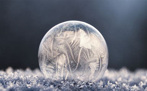 Nu99 Ice Bubble Winter Nature Wallpaper