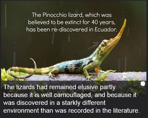 Interesting Science Facts and Photos (54 pics)