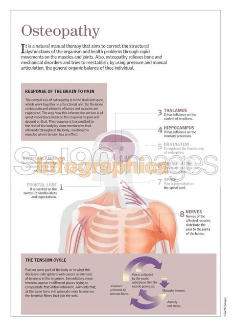 Infographics Osteopathy Infographics90