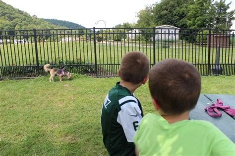 May 04, 2021 · soho sushi bar and deli is a unique restaurant that serves both classic new york deli fare and california sushi plates. Hickory Hill Family Camping Resort - UPDATED 2017 Prices ...