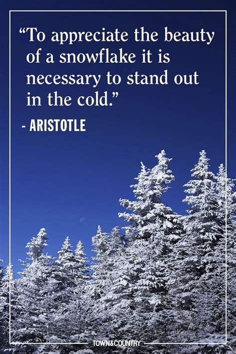 35 Best Winter Quotes Cute Sayings About Snow And The Winter Season