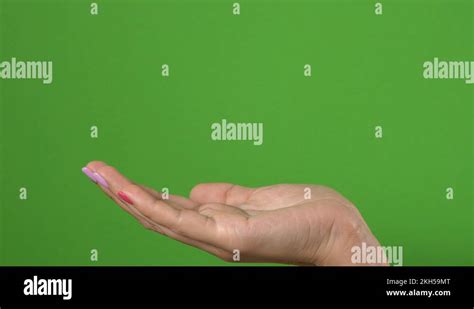 Beautiful Female Hands Opens Empty Palm As If Showing Virtual Object 4k