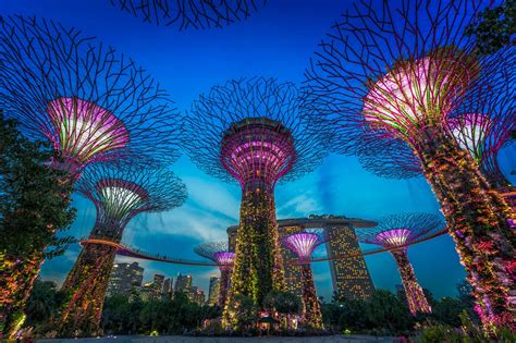 Supertree grove, the cloud forest. Singapore Gardens By The Bay