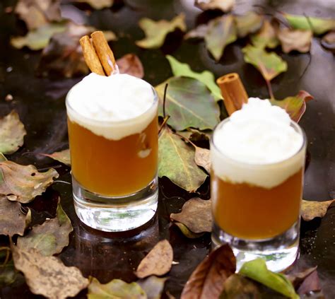 14 apple pie recipes to bake up this fall. 151 Apple Pie Shot : Apple Pie Moonshine Simple To Make ...