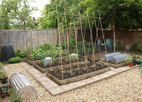 Traditional Way To Support Runner Bean Peas Support Garden Shrubs Veg