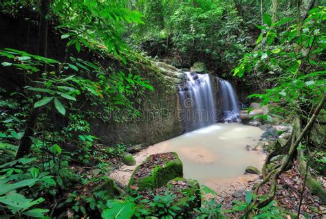 Be the first to create a discussion for law of the jungle in sabah. Waterfall in a Borneo Jungle. Kionsom waterfall Kota ...