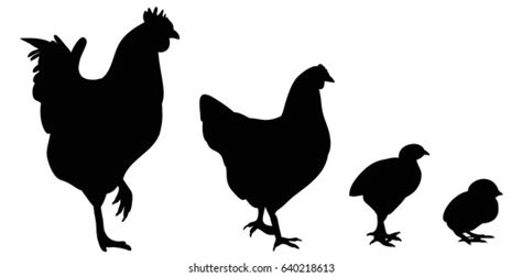 vector isolated black silhouette chicken chicken stock vector royalty free 640218613