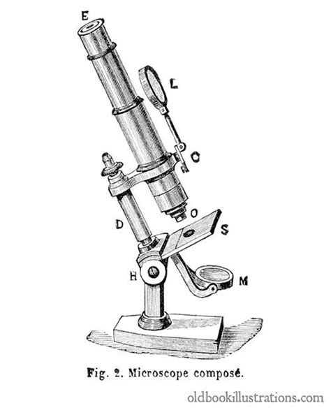 Compound Microscope Old Book Illustrations