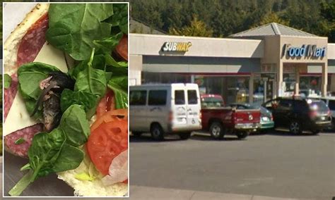 Subway Sandwich Containing Dead Mouse Found In Lincoln City Oregon Daily Mail Online