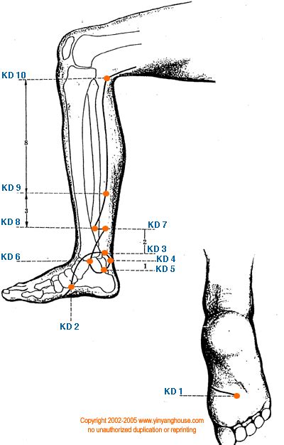 Kd Kidney Meridian Graphic Acupuncture Acupressure Treatment