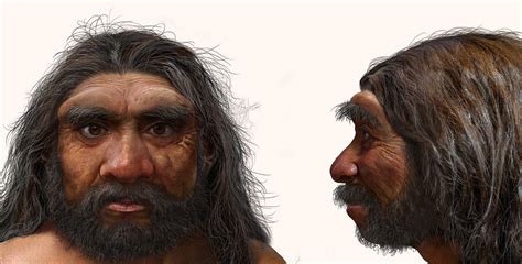 146000 Year Old Archaic Human Cranium Represents New Species Homo