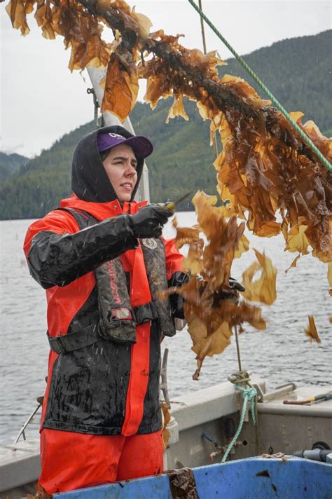 Seaweed — A Sustainable Renewable Fertilizer Source Found Locally In Northwest Bc Ecotrust Canada