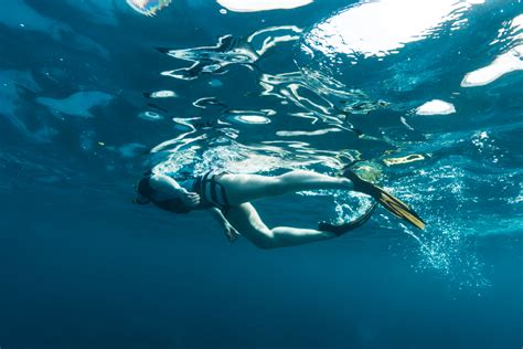Snorkeling At Two Steps In Honaunau Bay Big Island Hawaii Usa