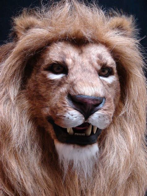 Sally Corporation Animatronic Lion Animals Museum Exhibition