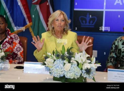 Monica geingos first lady della namibia e presidente di oaflad immagini