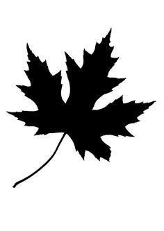 Check spelling or type a new query. Canadian Maple Leaf Silhouette at GetDrawings | Free download