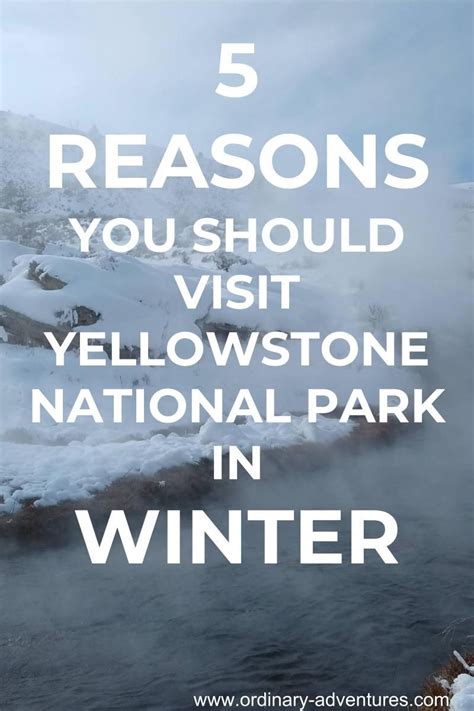 5 Reasons Why Winter Is The Best Time Of Year To Visit Yellowstone As