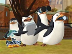 Prime Video: Los pingüinos de Madagascar Temporada 1