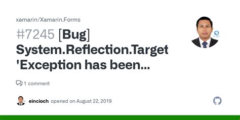 Bug System Reflection Targetinvocationexception Exception Has Been