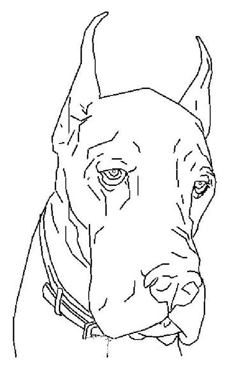 How to draw a great dane. Pinterest • The world's catalog of ideas