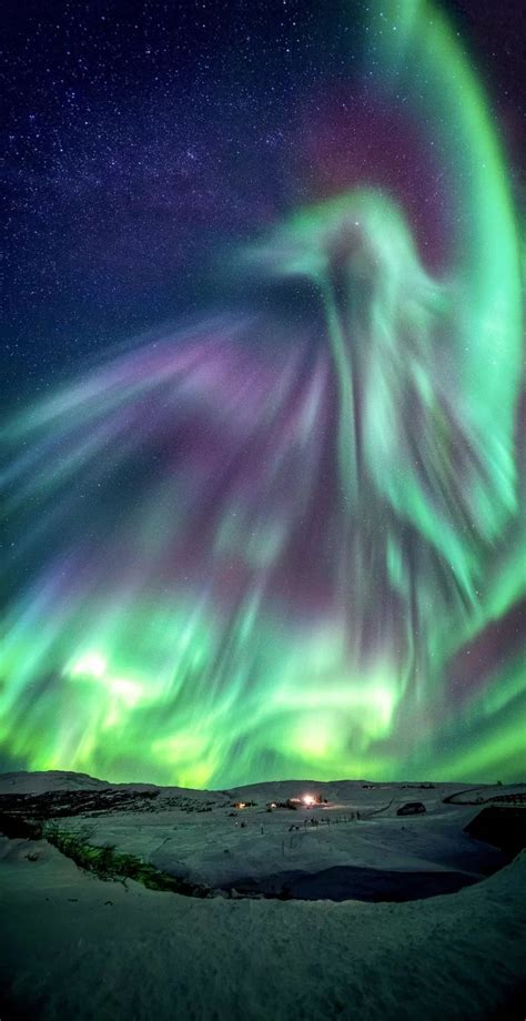 A Phoenix Aurora Seen Over Iceland In February 2019 By