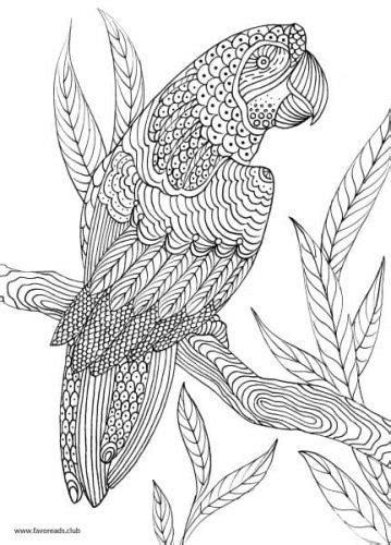 Animals And Birds 10 Coloring Pages Printable Adult