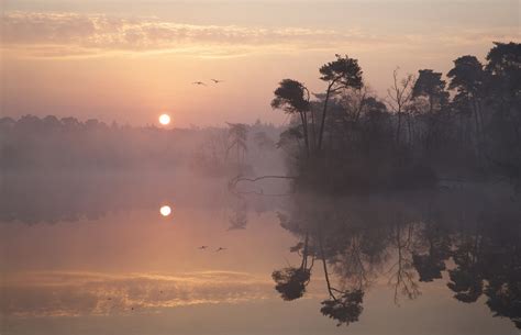 Wallpaper Sunlight Trees Landscape Birds Sunset Lake Water