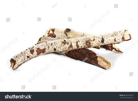 Dry Rotten Branches Pile Fire Isolated Stock Photo 592506599 Shutterstock