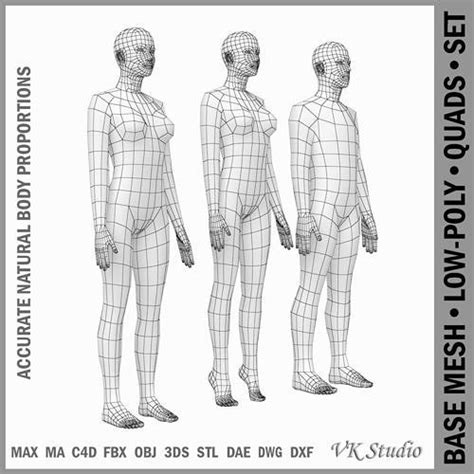 3d Model Female And Male Base Mesh Natural Proportions In Rest Pose Vr