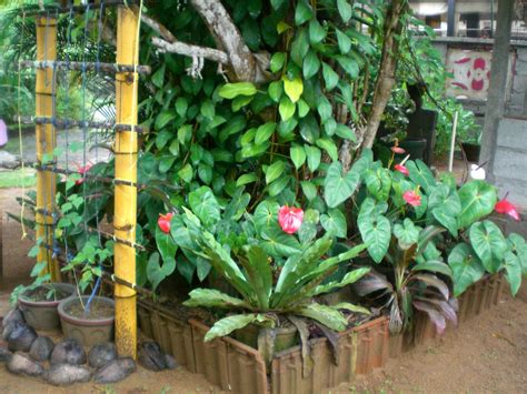 All ads in home & garden. La Via Campesina South Asia: Letter from MONLAR in Sri ...