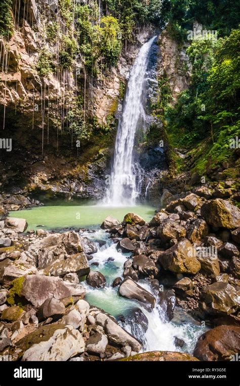 Dominica Morne Trois Pitons National Park Inscribed On The World Heritage List By Unesco In