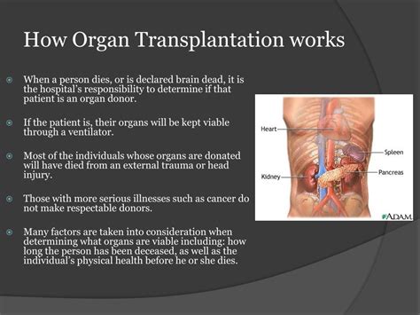 Ppt Organ Transplant Powerpoint Presentation Free Download Id2164007