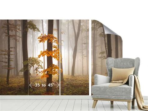 Mural Print Custom Wall Murals Wall Printing