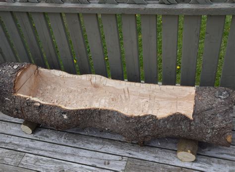 How To Hollow Out A Log To Use As Planters 2022