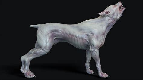 Mutant Dog In Characters Ue Marketplace