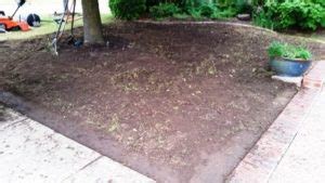 Maybe you would like to learn more about one of these? How Much Does it Cost to Sod a Yard? | Cost to Sod a New Lawn