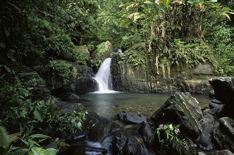 Visiting Puerto Ricos El Yunque National Park Travelcoterie