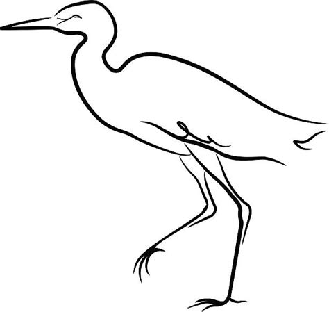 Cattle Egret Clip Art Vector Images And Illustrations Istock