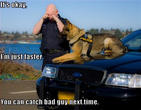 Can You Outrun A Police Dog Ecusocmin