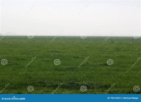 Grassland With Fog In The Background Stock Image Image Of Field