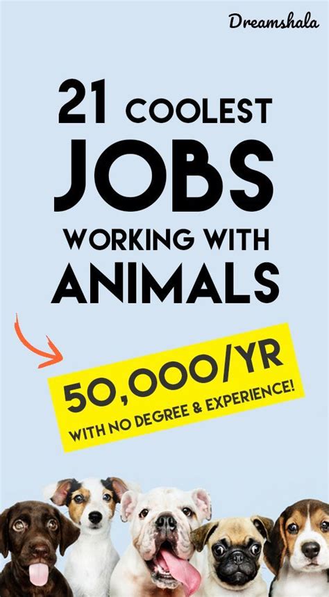 21 Coolest Jobs Working With Animals Jobs List For 2021 Work With